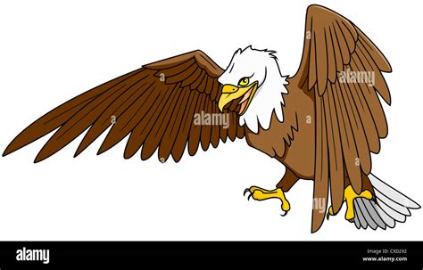Bald Eagle Cut Out Stock Images And Pictures Alamy