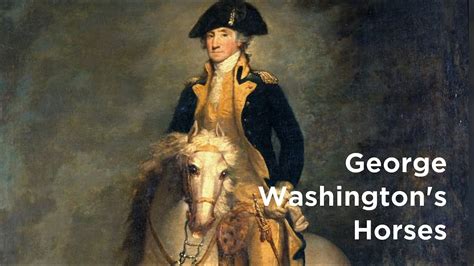 What Kind Of Horses Did George Washington Own Youtube