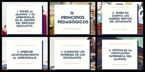 14 Principios PedagÓgicos Nuevo Modelo Educativo Imagenes Educativas
