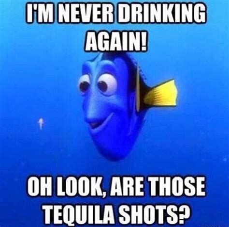 Hahaha Dory Memes Cheers Funny Quotes Funny Memes Nemo Quotes