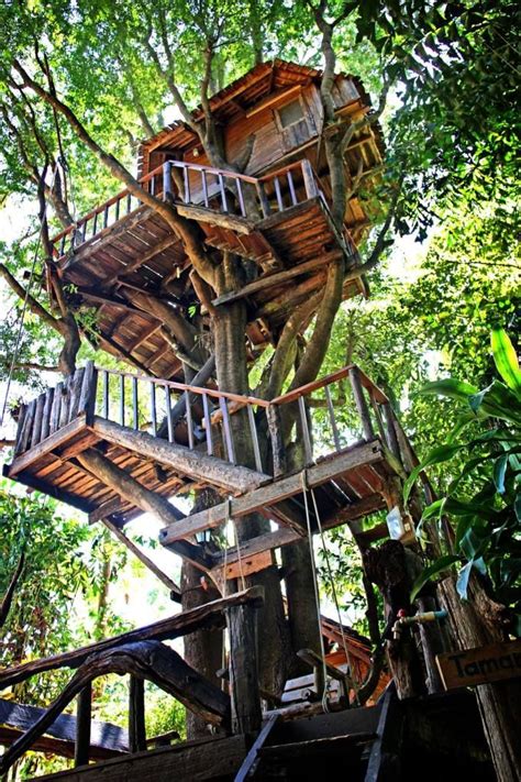 Rabeang Pasak Chiangmai Treehouse Resort Tree House Tree House
