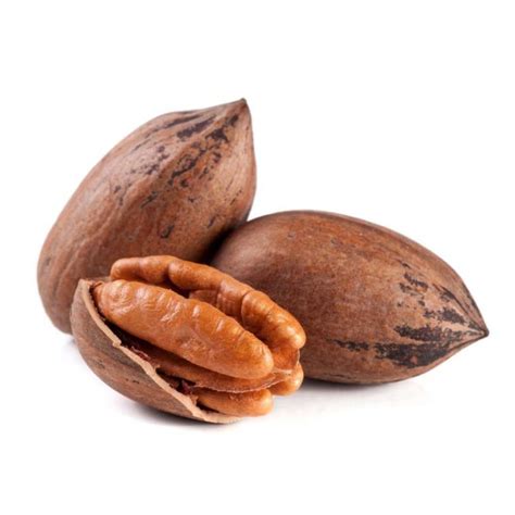 Buy Pecan Nut In Shell 1 Kg Online At 30 Discount Puremart