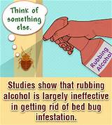 Pictures of Home Remedies To Get Rid Of Bed Bugs With Alcohol