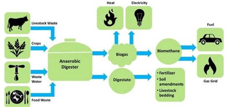 Thesis 2018 Identifying Barriers And Enablers Of The Biogas Value