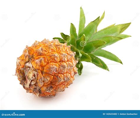 Fresh Whole Pineapple Stock Photo Image Of Meal Fruit 142623482