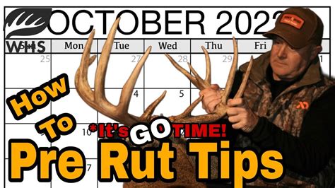 5 Proven Pre Rut Buck Hunting Tips Youtube