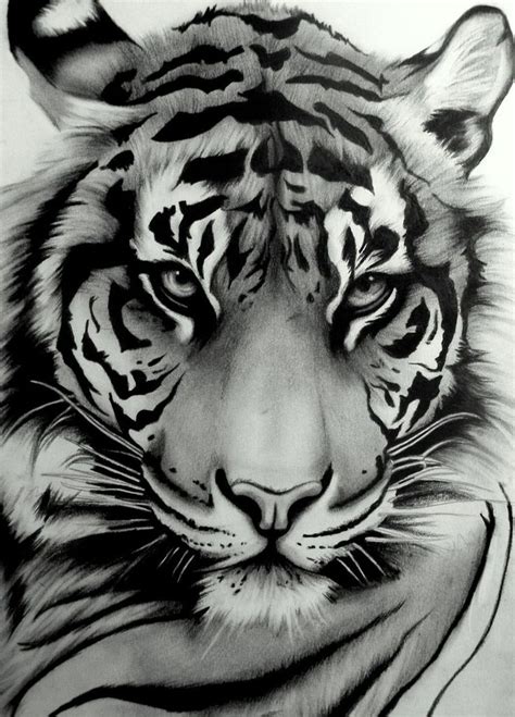 Pin Von Chumani On Tree Auf Tigers Tierkunst Tiger Zeichnung