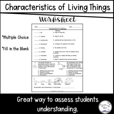 Characteristics Of Living Things Worksheet Classful