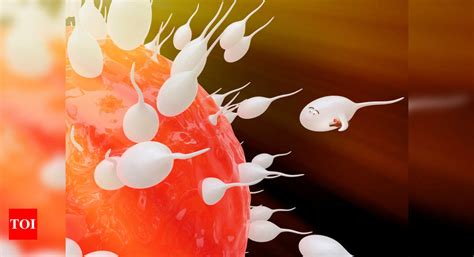 How Long Can The Sperm Last In Your Vagina Times Of India