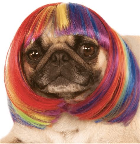 Rainbow Bob Wig Dog And Cat Costume Pet Costume Center