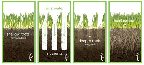 Check spelling or type a new query. Dethatch or Aerate Before Overseeding? | Advanced Lawn Care Tips