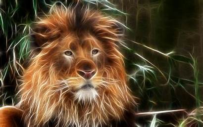 Lion 3d Animal Wallpapers Background Fractal Abstract