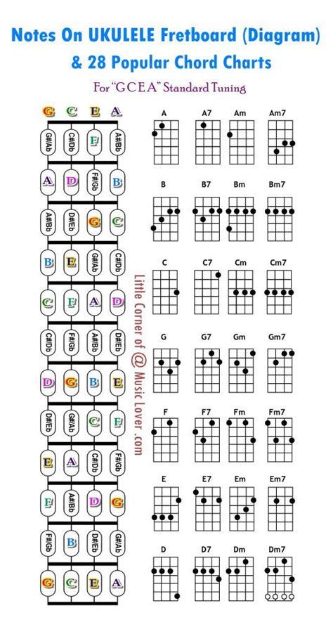 How to play ukulele for beginners. 10 Remarkable Things TOTAL Ukulele Beginners Need To Know ...