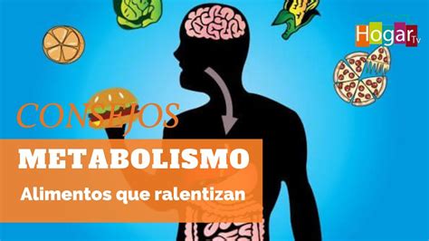 Alimentos Que Ralentizan El Metabolismo HogarTv Producido Por Juan