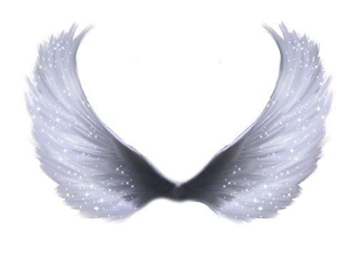 Angel Wings PNG Imagen Transparente PNG Arts