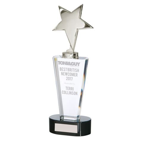 Chicago Silver Metal Star Award ⋆ A4ao Ltd