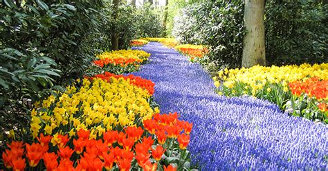 The 15 Most Beautiful Gardens In The World Purewow