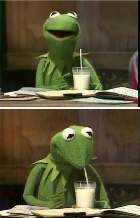 Kermit The Frog Drinking Milk Meme