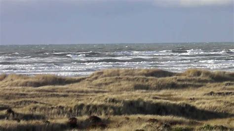 From Our Window At The Quinault Beach Resort Hotel And