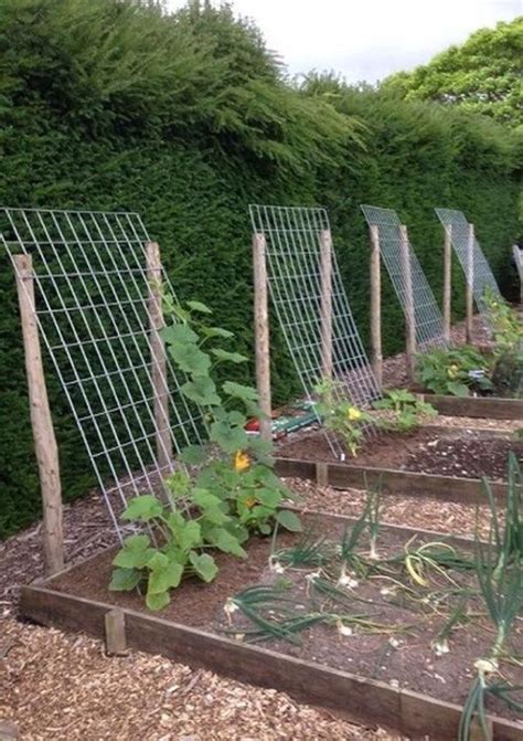 50 façons créatives de faire un jardin potager