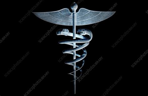 Caduceus Stock Image F0022332 Science Photo Library
