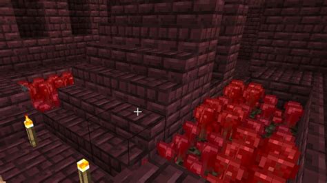 How To Get Minecraft Nether Warts Location Uses And More Firstsportz