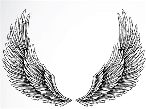 101 Best Angel Wings Tattoos And Designs