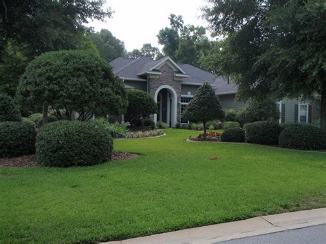 Winter Checklist For Your Gainesville Landscape The Masters Lawn Care