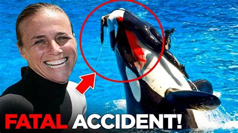 This Killer Whale Killed Her Trainer Dawn Brancheau Infront Of Her