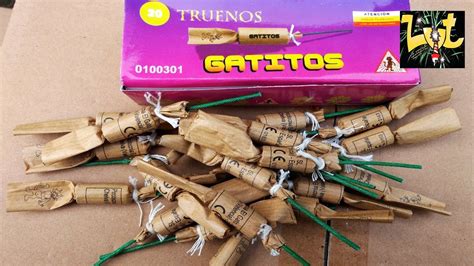 Truenos Gatitos Spaanse Vlinders Youtube