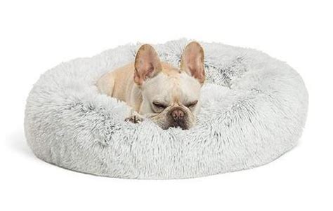 A study in 2019 compared the calming bed with some random dog beds that you can get in any pet. 40% OFF】Pets Donut Calming Bed - recover-containing