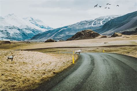 Ive Been Capturing Icelandic Roads For 16 Months Bored Panda
