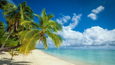 2048x1365 Nature Landscape Tropical Island Beach Palm Trees Sea Sand