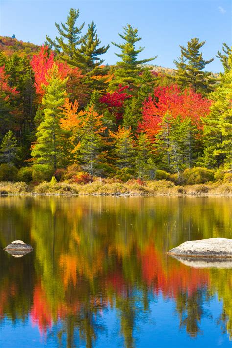 Fall By The Lake Free Stock Photo Public Domain Pictures