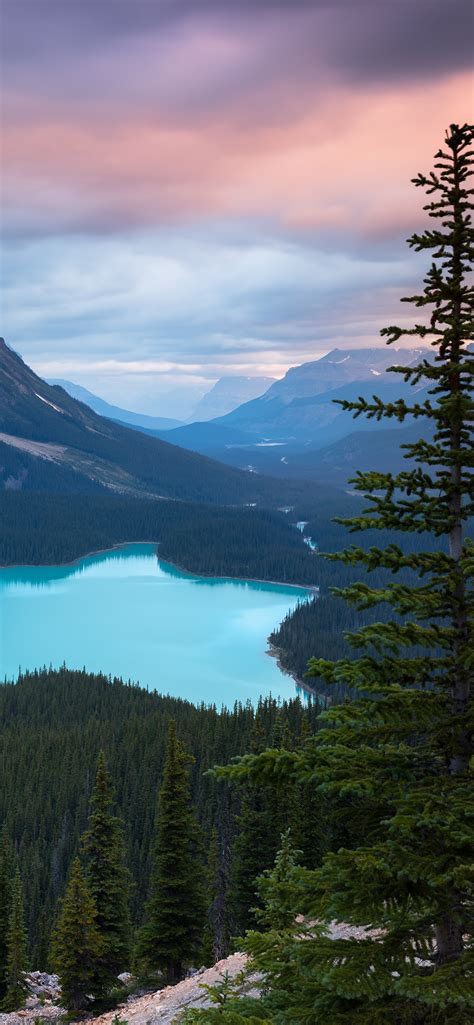 Peyto Lake Wallpaper 4k Mountains Turquoise Evening Sunset Canada