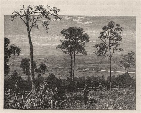 The Emu Plains And Nepean River The Blue Mountains Australia 1890 Old