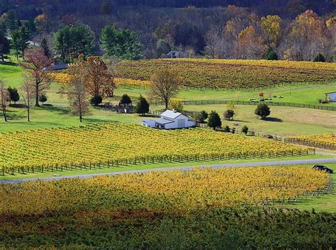 10 Wineries That Show Why Virginia Is For Wine Lovers Wine Lovers
