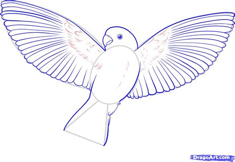 How To Draw A Flying Bird How To Draw A Bird Step By Step Birds