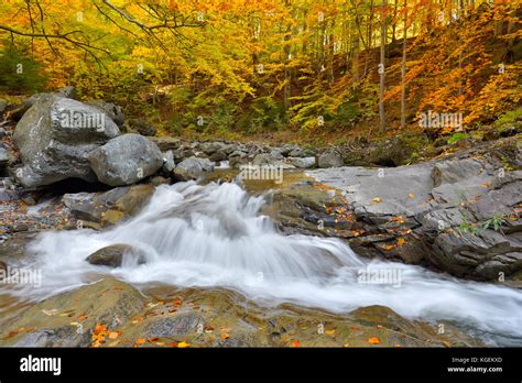 Autumn Waterfall And Creek Woods With Yellow Trees Foliage And Rocks In