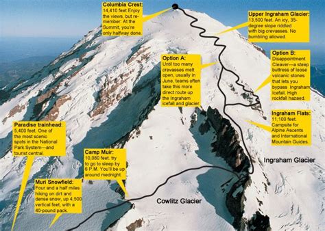 Climbing Mount Rainier A Three Week Journey To The Top Nautica Malibutri