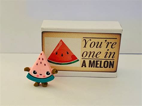 Youre One In A Melon Mini Watermelon In A Matchbox Etsy