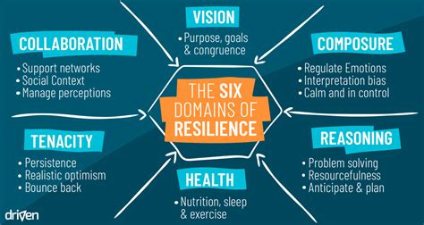 The 6 Domains Of Resilience