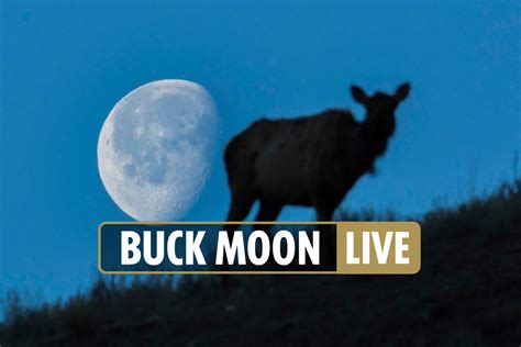 Buck Moon 2021 Live How To Get The Best Instagram Post As Julys Full