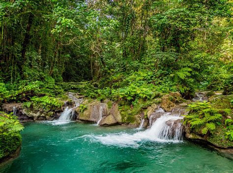 Reach Falls Portland Parish Jamaica  License Image 71356557 Lookphotos