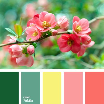 Find a great color palette from color hunt's curated collections. peach-coral | Color Palette Ideas