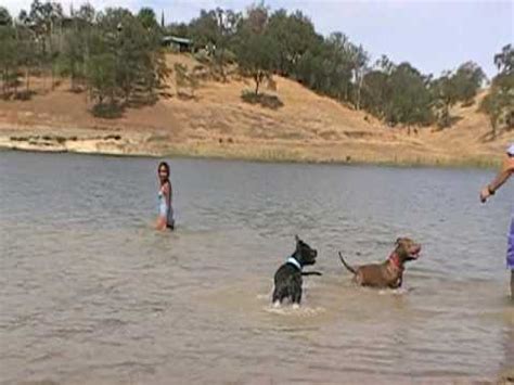 Check spelling or type a new query. Camanche reservoir - YouTube