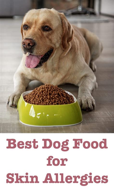 However, this formula is also made with chicken meal and fish meal. Best Dog Food For Skin Allergies - Tips and Reviews To ...