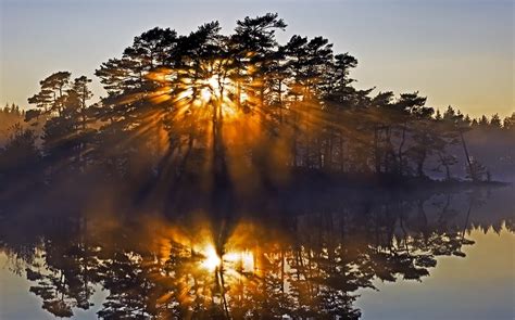 Nature Landscape Sunrise Island Reflection Lake Sun Rays Trees