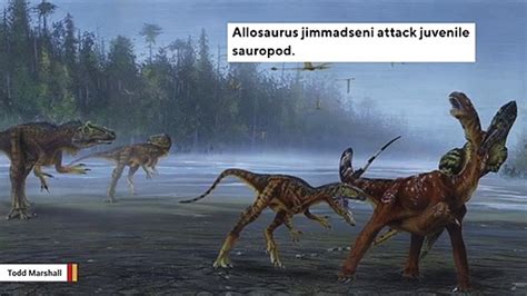 Newly Discovered Dinosaur Roamed Utah 150 Million Years Ago Video Dailymotion