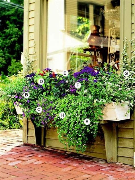 85 Awesome Shade Plants For Windows Boxes Ideas Page 21 Of 85